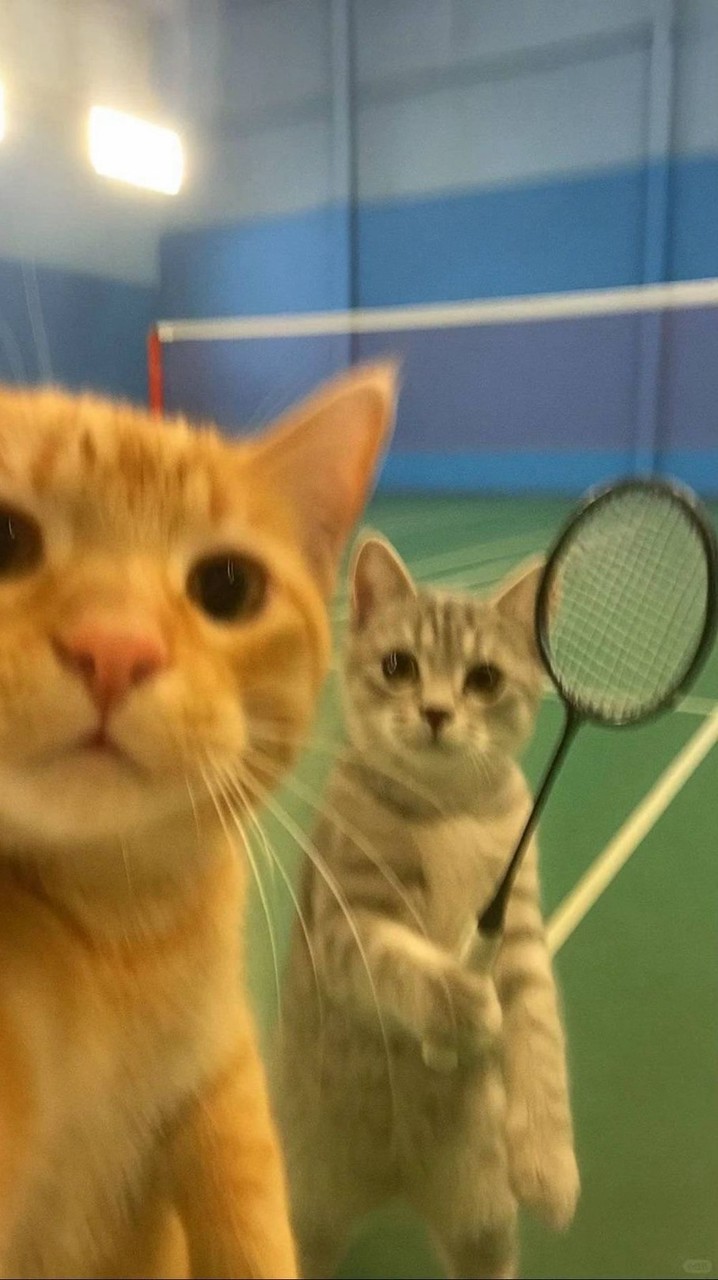 หาเพื่อนตีแบดแถว ม.เกษตร 🏸