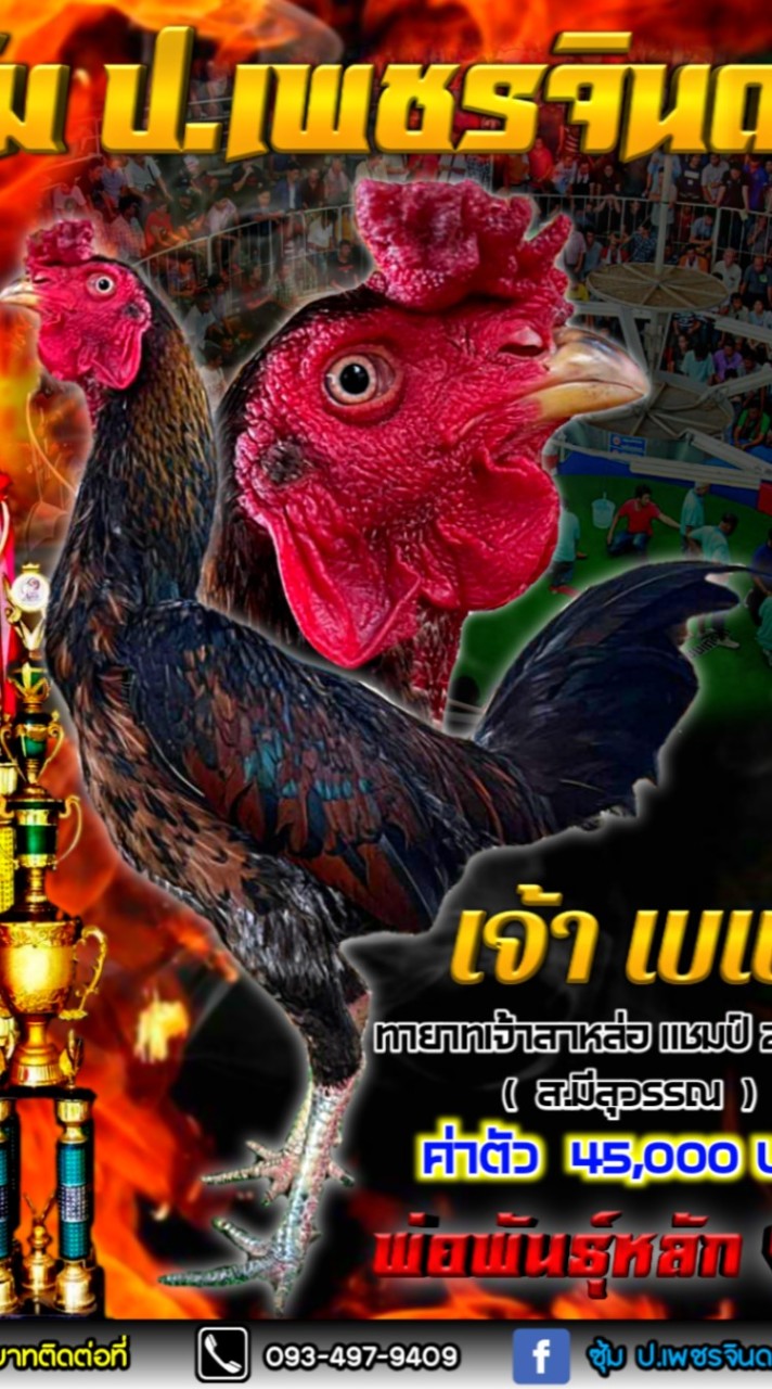 ซุ้ม ป.เพชรจินดา ฟาร์ม