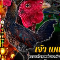ซุ้ม ป.เพชรจินดา ฟาร์ม