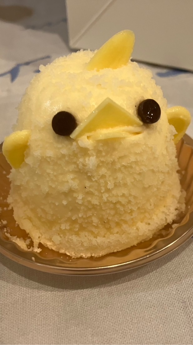~中学生雑談~(即抜けした人はメンバー全員で通報します。)