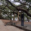 ~中学生雑談~(即抜けした人はメンバー全員で通報します。)