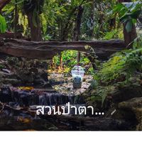 สวนป่าตากาวังเจ้า