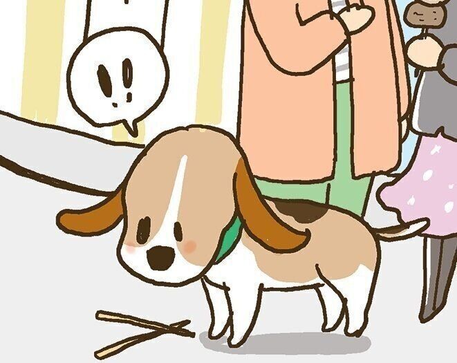 犬が 拾い食い しやすいキケンなもの5選 いぬのきもちnews