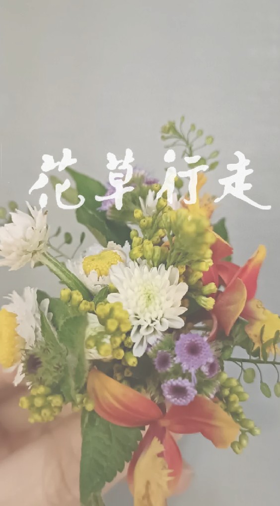 花草行走 團購趣