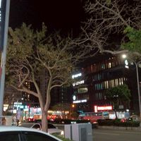 科系0406