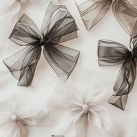 🎀 𝕐.𝔹女裝🎀