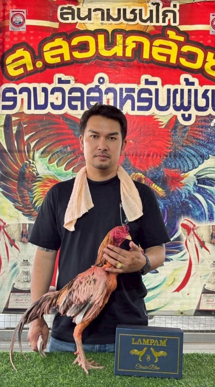 ฉัตรทองฟาร์ม ผ่อนไก่