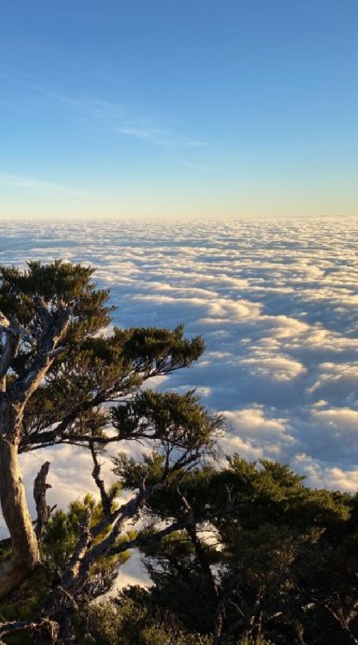 愛山進階(百岳"非傳統"縱走/285高山及冷門探勘路線)