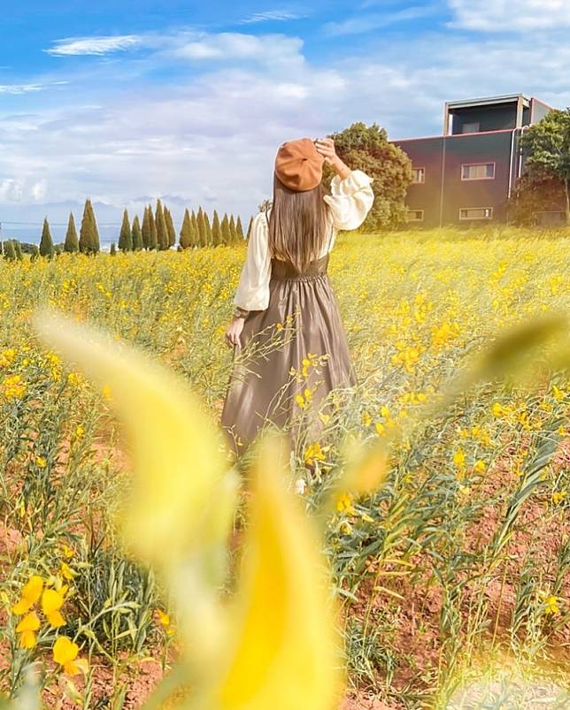 ▲圖片來源：IG@153_mom