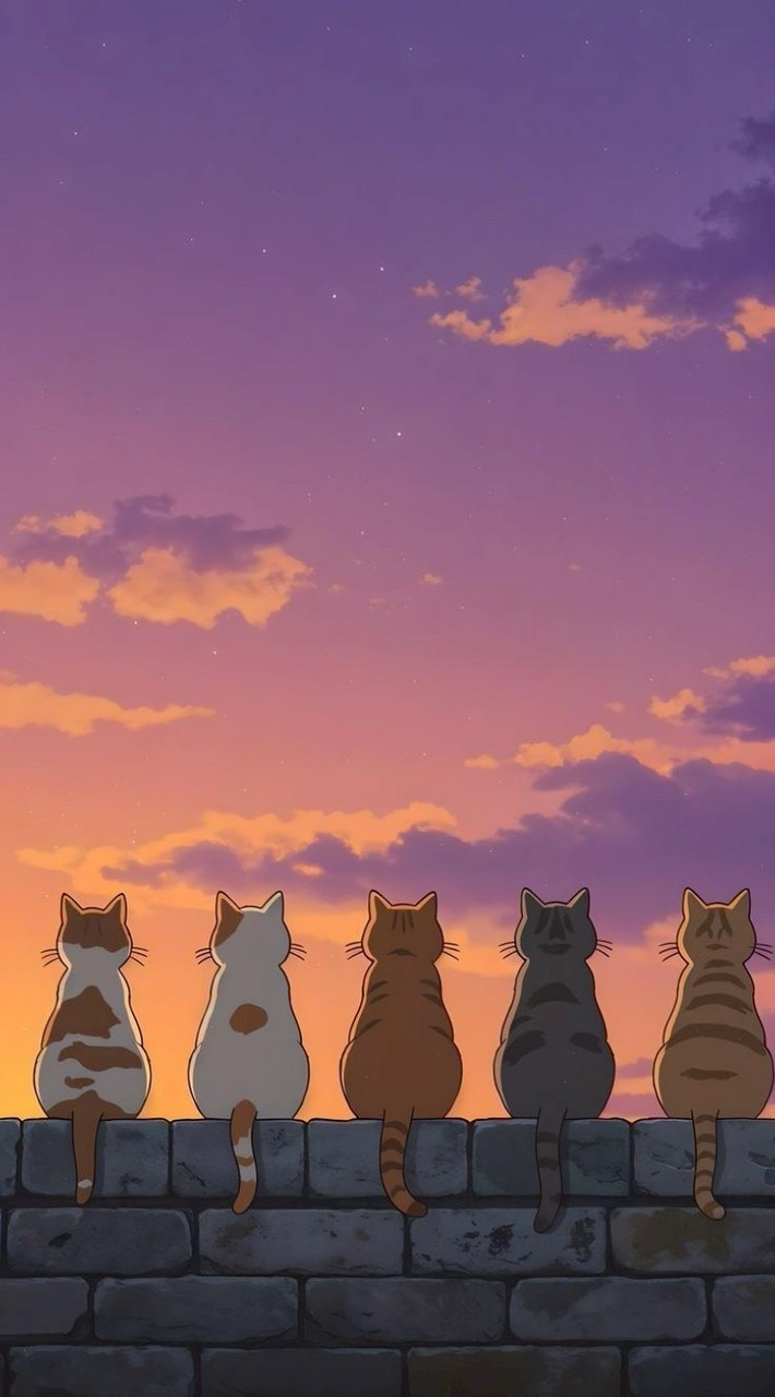 ทาสแมว 😽😽