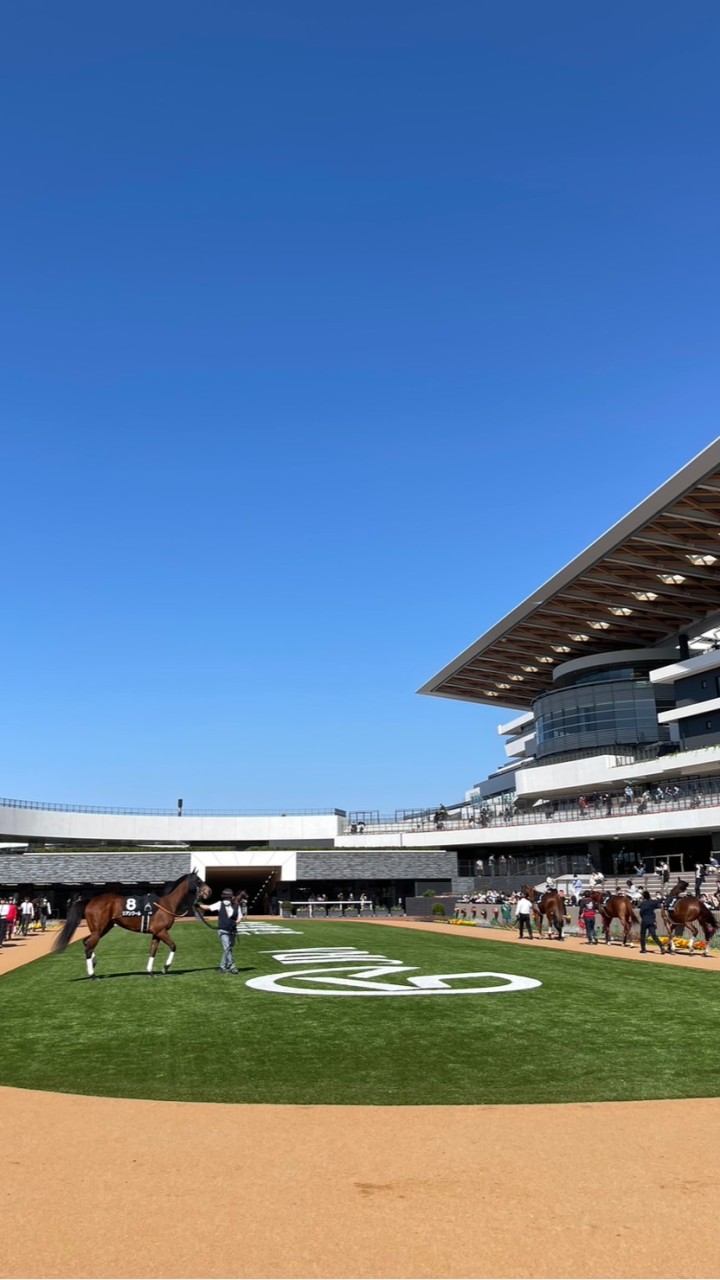競馬ファンの小部屋