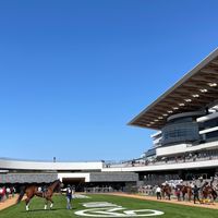 競馬ファンの小部屋
