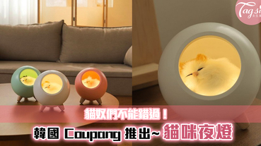 貓奴們不能錯過！韓國 Coupang 推出超療癒「貓咪夜燈」~每晚陪著你！