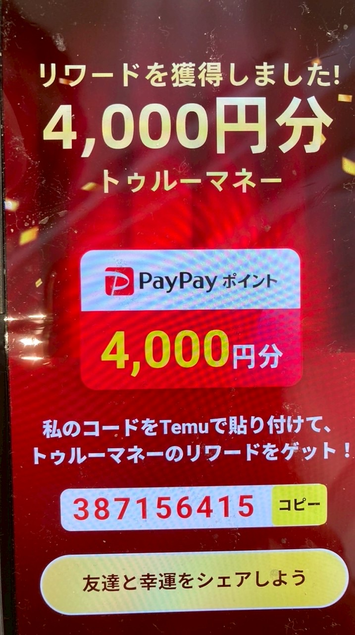 TEMU限定⭕️TEMU協力隊