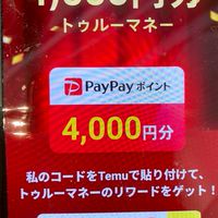 TEMU限定⭕️TEMU協力隊