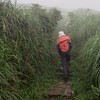 新手肉腳登山群