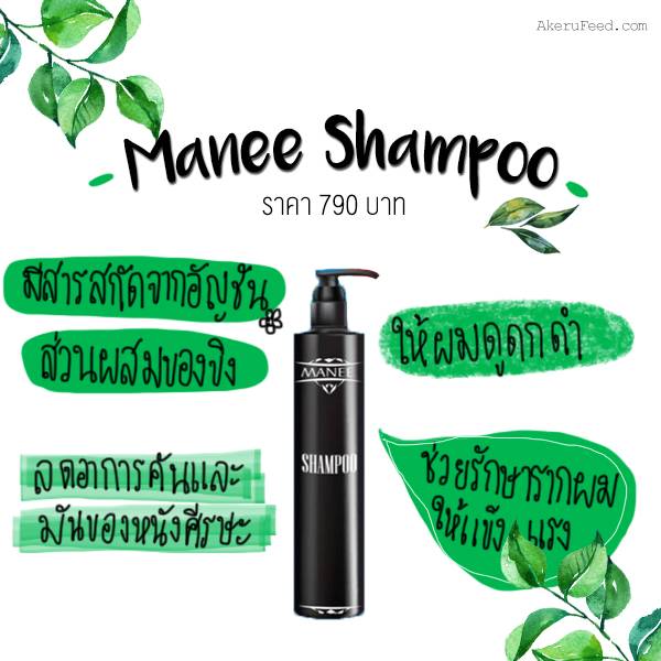 แชมพู มณี pantip
