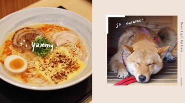 雲林虎尾「麵屋柴」鹽味雞白湯拉麵！Ｑ彈麵條吸附甜香湯頭，還有超萌柴犬小店長迎接！