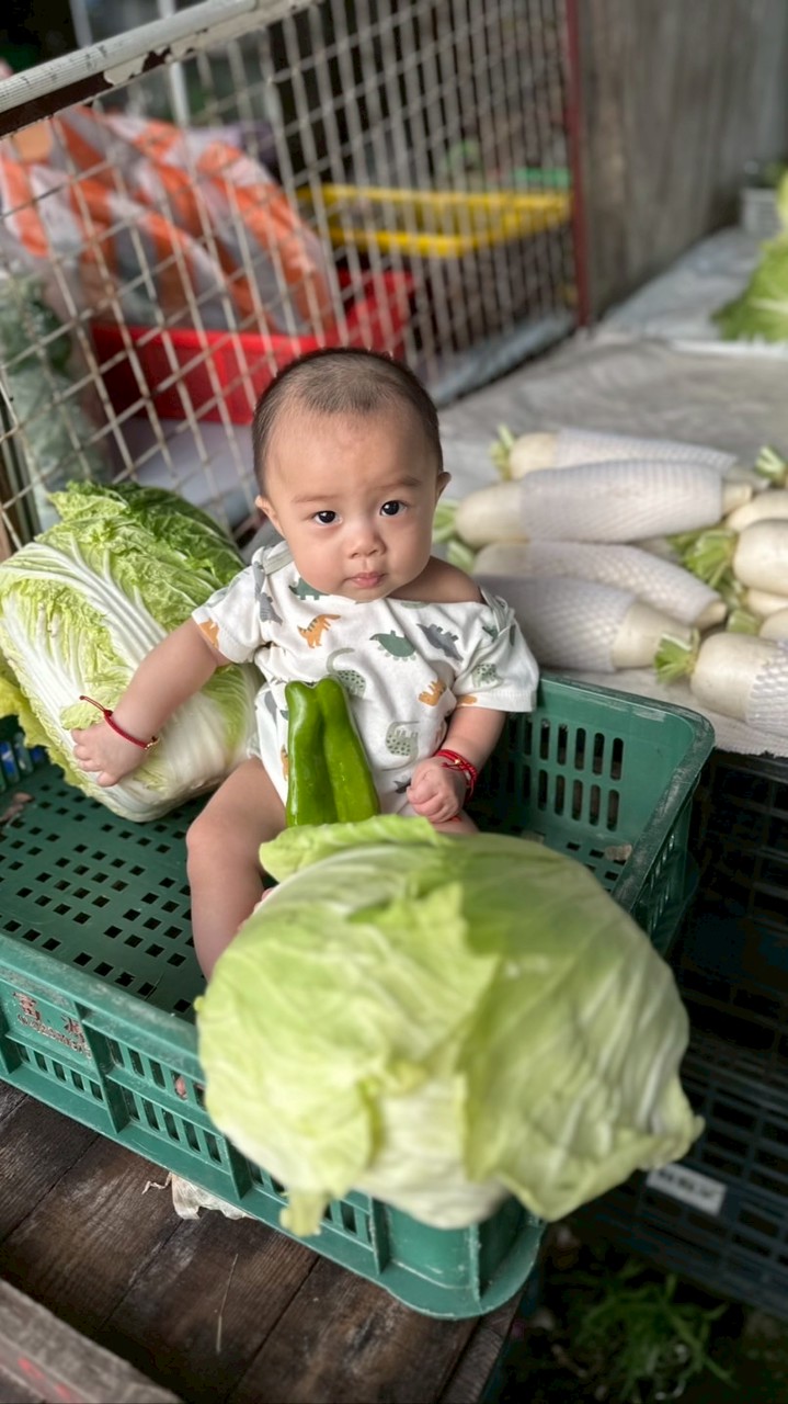 良心菜商行