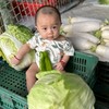 良心菜商行