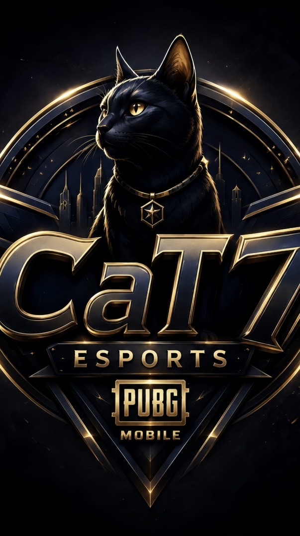 CaT7xRoom
