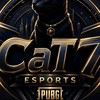 CaT7xRoom