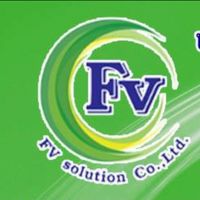 FV solution