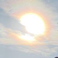 玄疑星際政局面面觀分享群