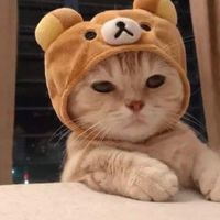 剁手兵團