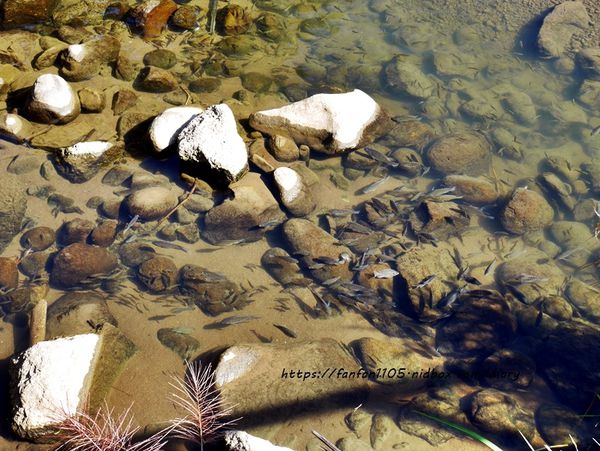 【石碇一日遊】#石碇老街 #必吃陳記養生恬點 #百年石頭屋 #不見天街 #淡蘭古道 #許家麵線 #千島湖 (50).JPG