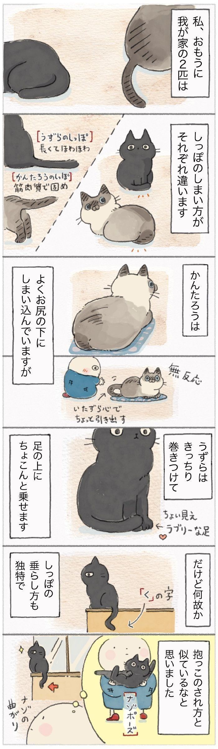 小さな所にも猫らしい個性が しっぽの先まで愛らしい２匹