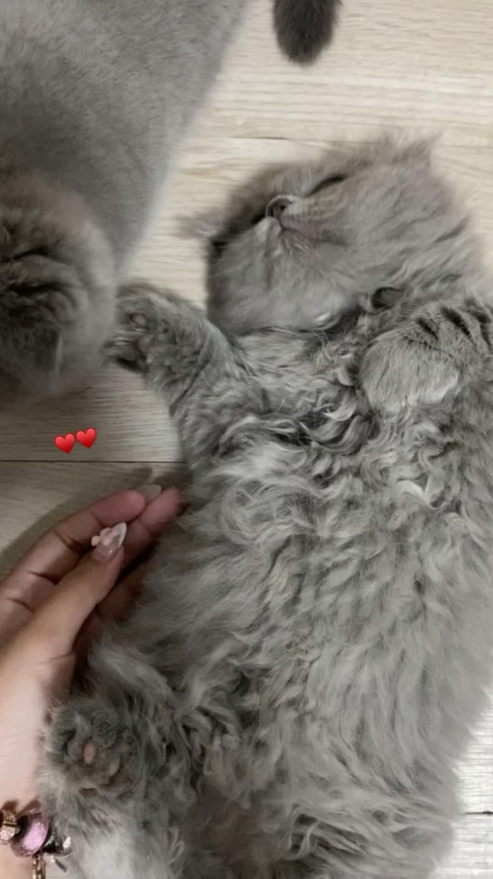 คลังผ้าน้ามเหมยย👚