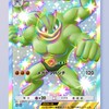 ポケポケクラス一年一組