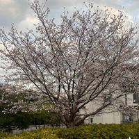 中高生あつまれー！