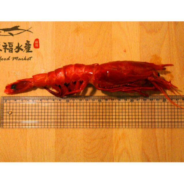 【禧福水產】巨無霸生食胭脂蝦0◇$特價600元/500g10%包/6-10隻◇最低價居酒屋餐廳燒烤熱炒團購日本料理可批