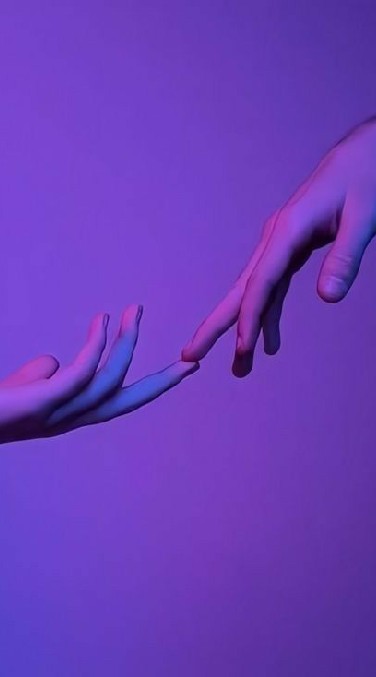 ｡･ﾟﾟ･ 𝗛𝗤𝗧𝗢𝗪𝗡 ･ﾟﾟ･｡