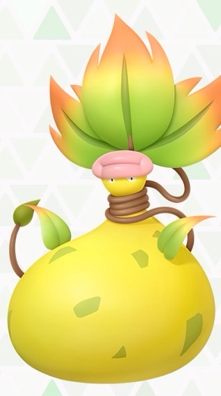 【二代目】少数精鋭　札幌近郊　ポケカ　ポケモンカード　販売情報