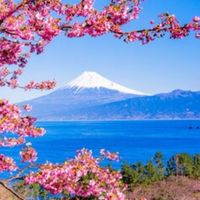 還暦以上☝やんちゃで優しい大人たち👊
