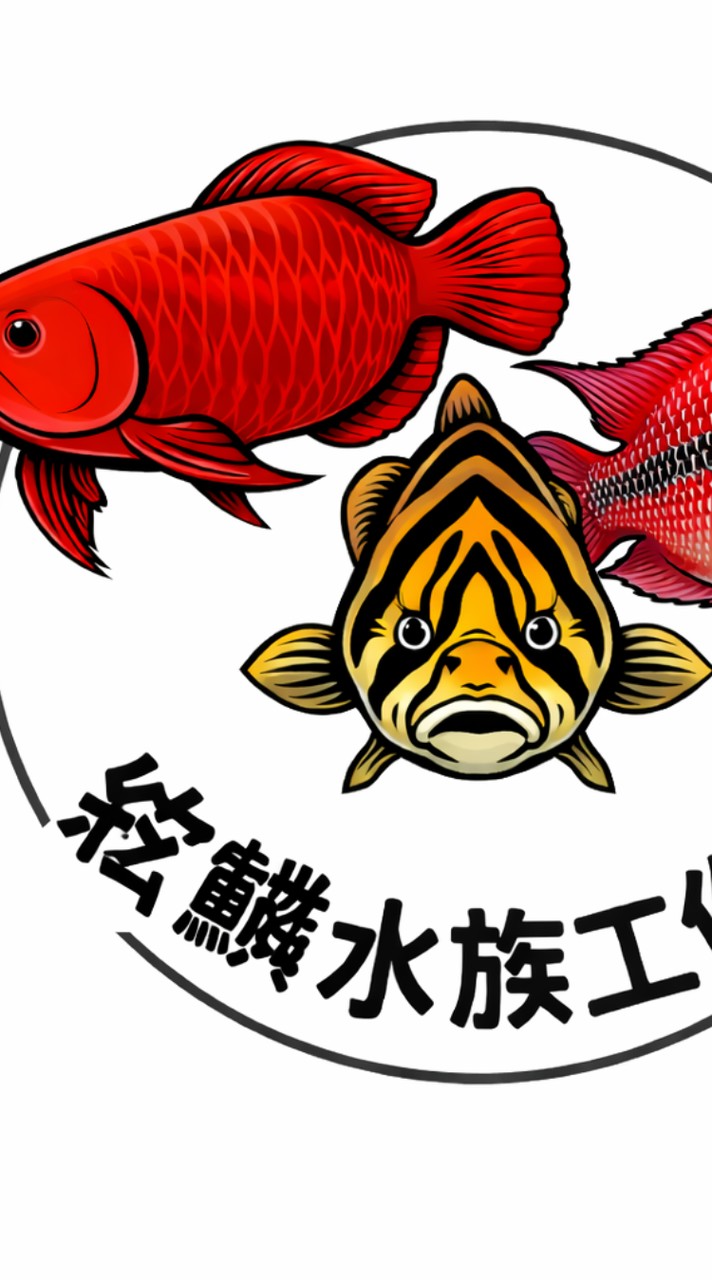 紘鱗水族交流買賣