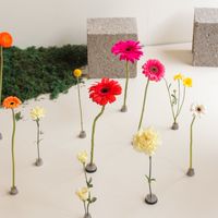 Coexist studio 中壢平鎮鮮花團