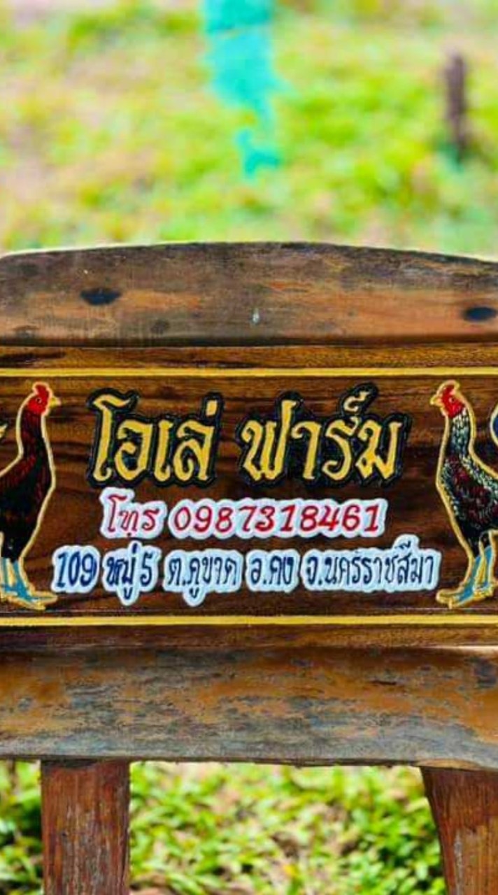ซุ้ม โอเล่109 ฟาร์ม