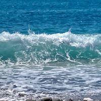身體取向榮格心理社群（Embodied Approach Jungian Psychology)