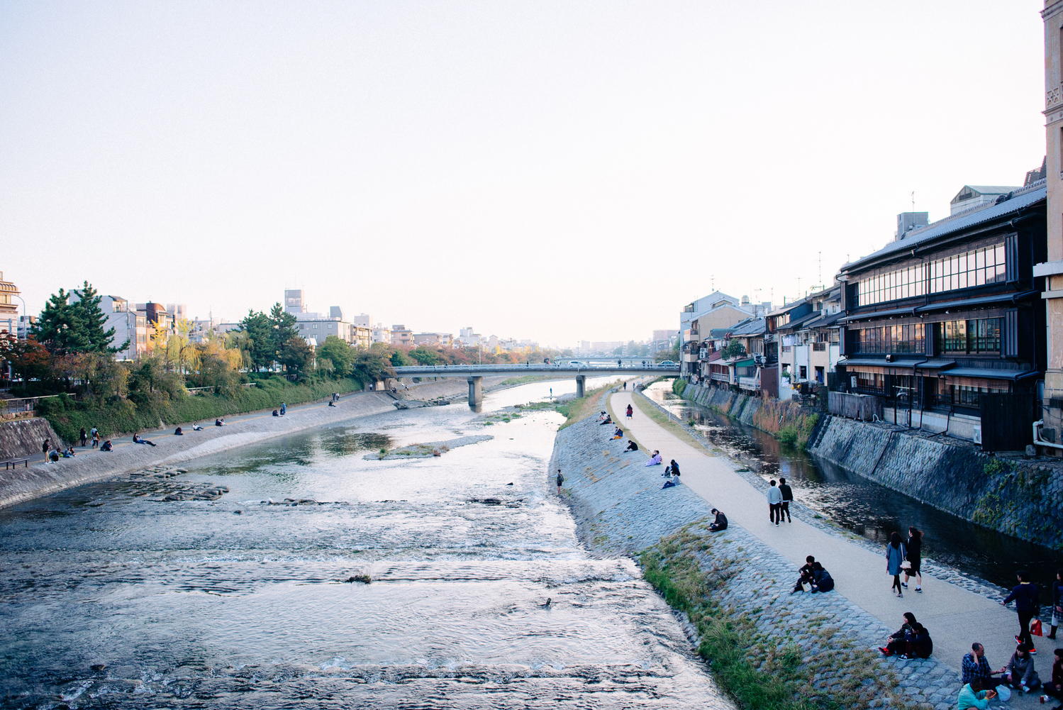 京都河邊「排排坐」潛規則！外地人常犯錯「鴨川等間隔法則」
