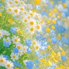 鬼滅の刃ゆる〜く行っちゃおうぜ❕