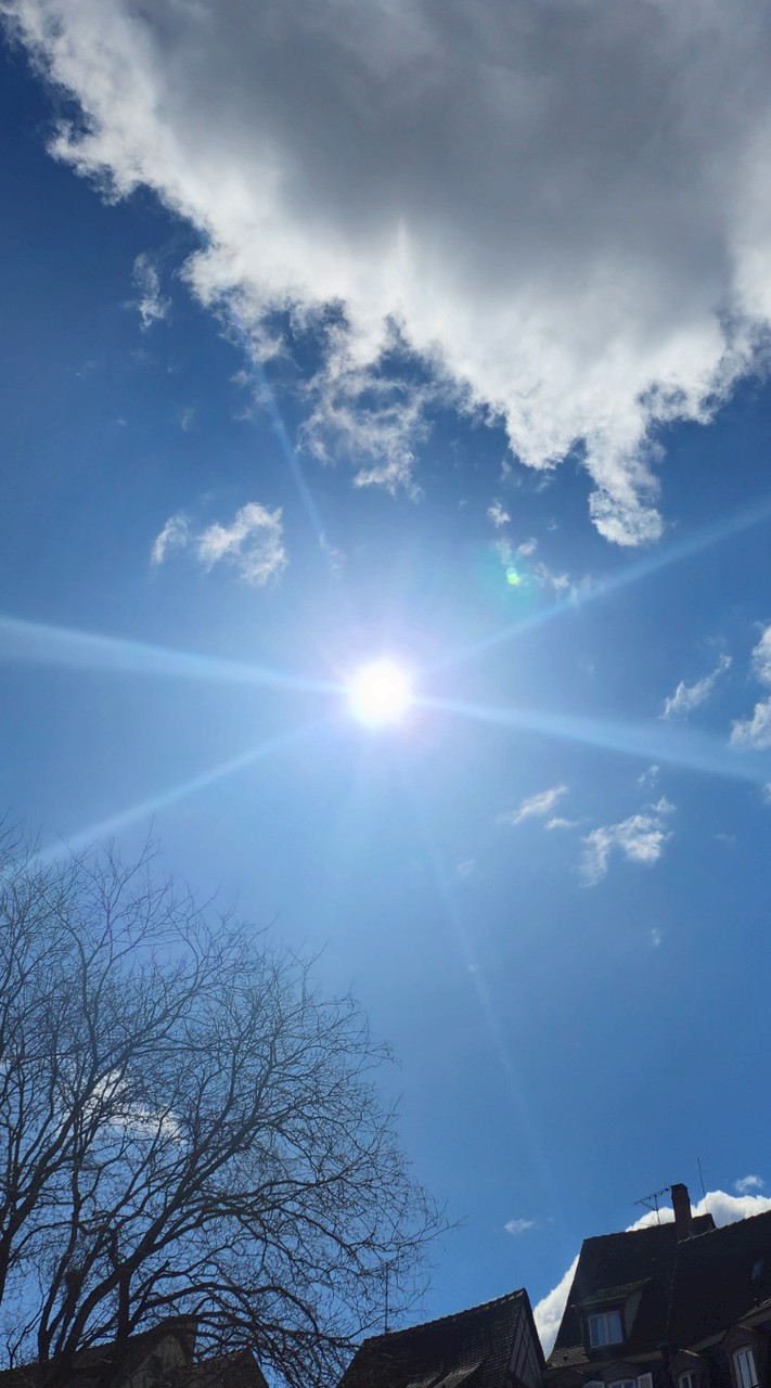 🌏わたしを愛することは世界を愛すること🌏