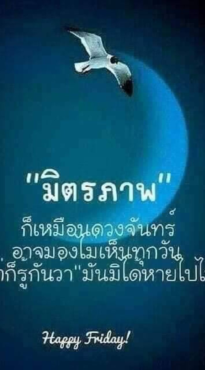 โสดนัก เหงา ก็ มา เลย