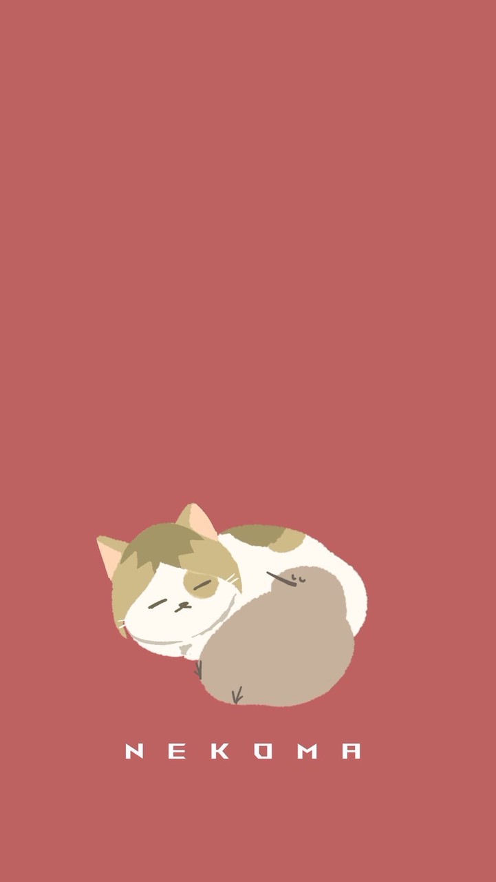 找閨蜜、CP、聊動漫、idol