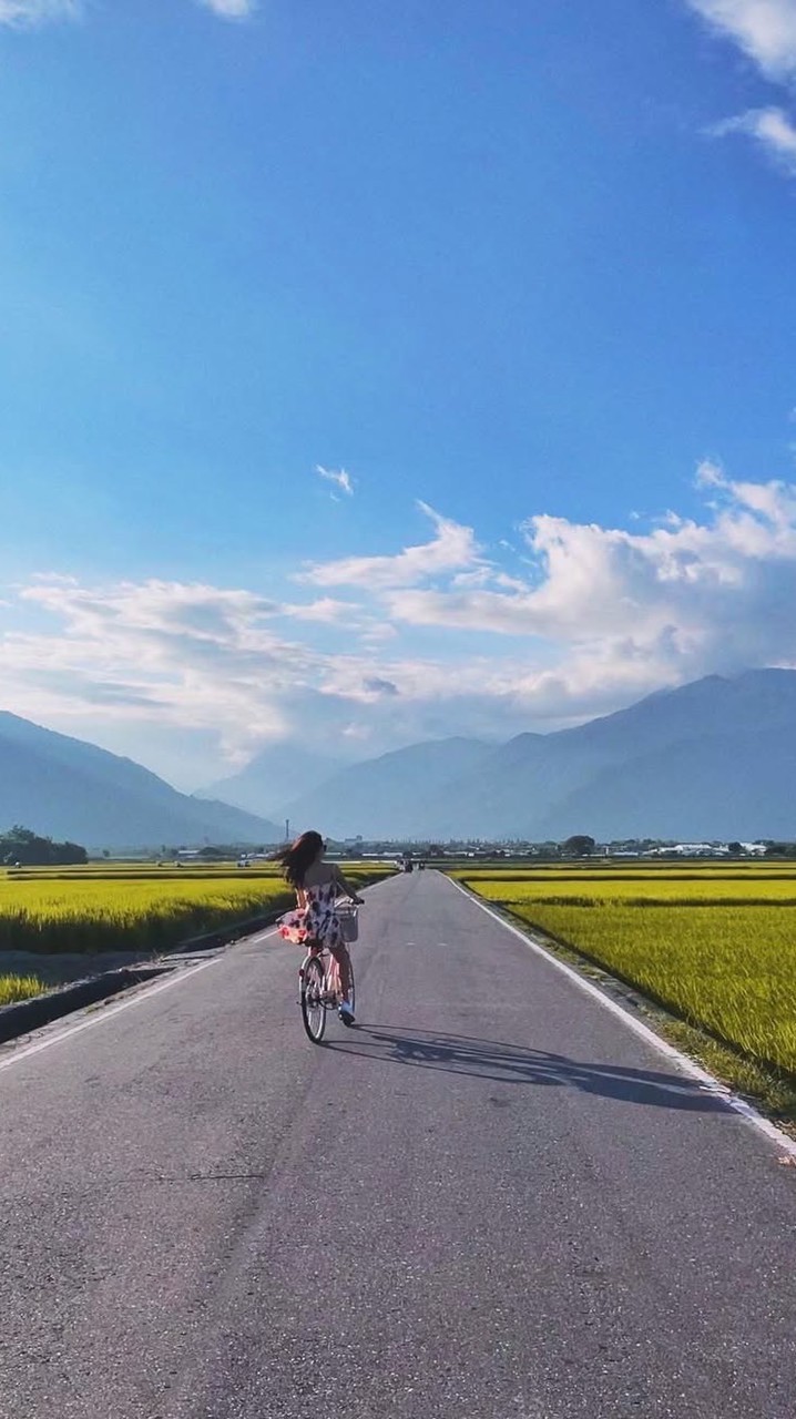 桃園Ubike輕騎團"新手 單車自行車腳踏車🚴