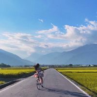 桃園Ubike輕騎團"新手 單車自行車腳踏車🚴