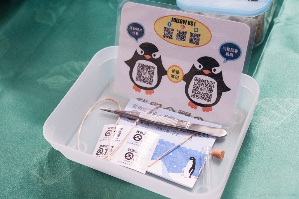 企鵝餵食體驗, 海生館企鵝飼育員, 海生館活動, 屏東海生館, 海生館企鵝, 海生館極地區, Klook我與企鵝的0.1毫米